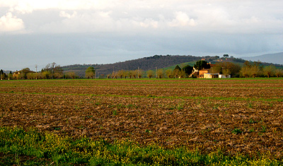 Podere Michelangelo panoramica